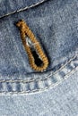 Denim Button Hole Royalty Free Stock Photo