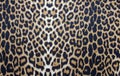 Denim fabric texture Royalty Free Stock Photo