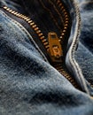 Denim Zipper on Old Jeans Royalty Free Stock Photo