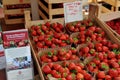 Denmark home grown strawberry in Kastrup Denamrk