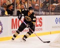 Dennis Seidenberg, Boston Bruins defenseman. Royalty Free Stock Photo