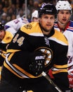 Dennis Seidenberg, defenseman, Boston Bruins Royalty Free Stock Photo
