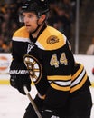 Dennis Seidenberg, defenseman, Boston Bruins Royalty Free Stock Photo