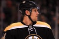 Dennis Seidenberg, defenseman, Boston Bruins Royalty Free Stock Photo