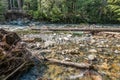 Denny Creek Rocks And Logs