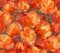 A dense arrangement of orange blossoms with water droplets in a repeating pattern throughout view Royalty Free Stock Photo