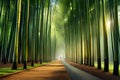 A dense bamboo forest with shafts of sunlight breaking through the canopy