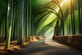 A dense bamboo forest with shafts of sunlight breaking through the canopy