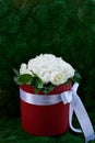 Dense bouquet of peony roses in a red box. Royalty Free Stock Photo