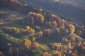 Rows of trees and meadows in the Sureanu Mountains, Romania Royalty Free Stock Photo