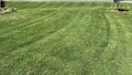 Dense deep green striped Bermudagrass lawn. Royalty Free Stock Photo