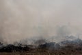 Dense dust and smoke from burning stubble in post-harvest agricultural areas