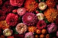 Dense floral background, abundance of buds of chrysanthemums and peonies