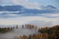Dense fog above the valley, in autumn. Some firs are to be seen. Austria. Royalty Free Stock Photo