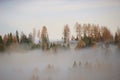 Dense fog above the valley, in autumn. Some firs are to be seen. Austria. Royalty Free Stock Photo