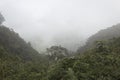 Dense fog over bogota andean rain forest at eastern city mountains Royalty Free Stock Photo