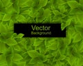Dense Foliage. Vector Illustration. Lush Dense Green Background, Vector Background