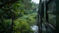 The dense foliage of the wetlands envelops the train in a natural tunnellike setting Royalty Free Stock Photo
