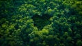 Dense Forest Canopy Filled With Trees