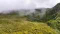 Dense forest in the Plaine des Cafres on Reunion Island sky view