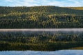 Dense forest of Ponderosa Pines reflecting on Stanley Lake at sunrise in the Sawtooth Mountains of Idaho during summer Royalty Free Stock Photo