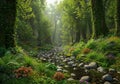 Dense forest scene featuring a tranquil stream flowing through a rocky bed, surrounded by lush Royalty Free Stock Photo
