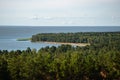 Dense forest by the sea. Wild beach with a lot of trees by the ocean. Exploring nature on a sunny day, clear sky, copy space for