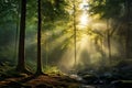 dense forest with sunlight filtering through the leaves, ai genearted Royalty Free Stock Photo