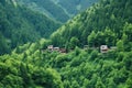 dense forest surrounding isolated mountain-top cottages