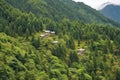 dense forest surrounding isolated mountain-top cottages