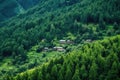 dense forest surrounding isolated mountain-top cottages