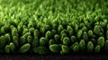 Dense green artificial grass texture with dark granular base in a close-up perspective Royalty Free Stock Photo