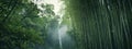 Dense green bamboo trees grove forest with waterfall view