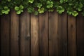 Dense Green Clover Leaves Overlapping Wooden Planks