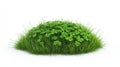 A dense green clover patch is embedded in vivid grass, isolated on a white surface Royalty Free Stock Photo