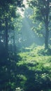 Dense Green Forest Filled With Trees