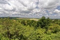 Dense green forestland under a thick cloud cover Royalty Free Stock Photo