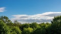 Dense green tree canopy under a clear blue sky with scattered thin clouds Royalty Free Stock Photo