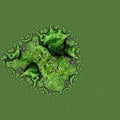 Dense Green Tree Moss Abstract Background Royalty Free Stock Photo