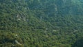 Mountain with dense green forest background Royalty Free Stock Photo