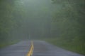 Dark double lane rural road leading into foggy forest