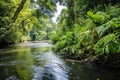 dense jungle flora along the banks of a broad river Royalty Free Stock Photo