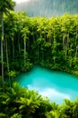 a dense jungle of trees hinters step into a world of botanical wonder haven generative ai