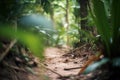 dense jungle vegetation blocking a rustic dirt path Royalty Free Stock Photo