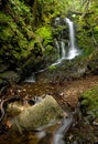Dense Lush Forest and Waterfall Royalty Free Stock Photo