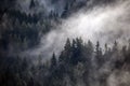 Dense morning fog in alpine landscape Royalty Free Stock Photo