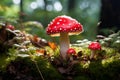 Dense Red toadstool forest plant. Generate Ai Royalty Free Stock Photo