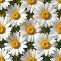 Dense Repeating Oxeye Daisy Floral Pattern Royalty Free Stock Photo