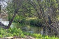 Dense riparian vegetation on the banks of a river in its middle section.