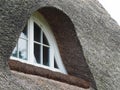 Dense rows of grey weathered roof reeds around a white window